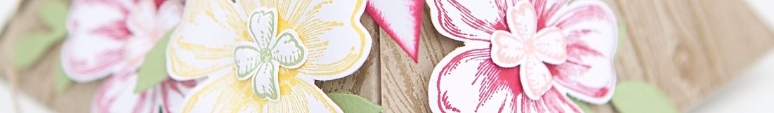 Verpackung mit Material von Stampin Up!