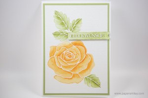 Aquarell Rosengarten mit Stampin' Up!