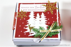 Mini-Pizzaschachteln mit Tannen von Stampin Up!