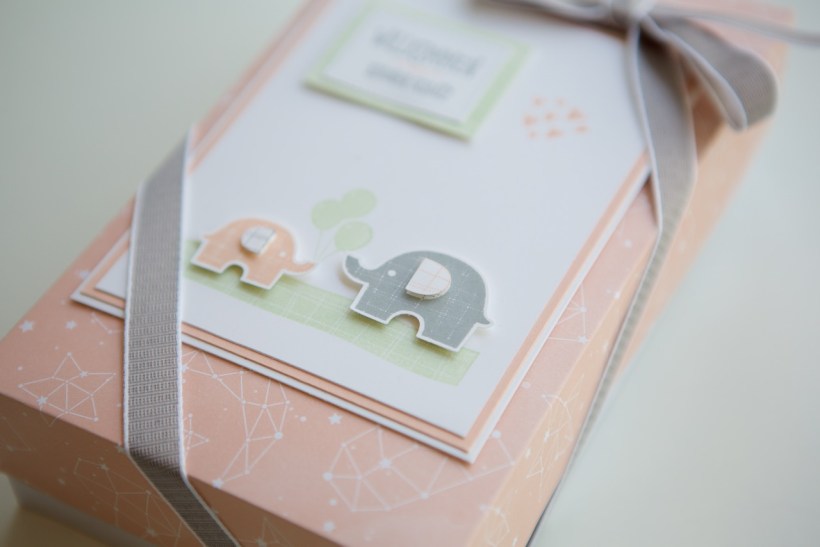Baby-Geschenk mit Stampin' Up!